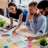 Design & Development